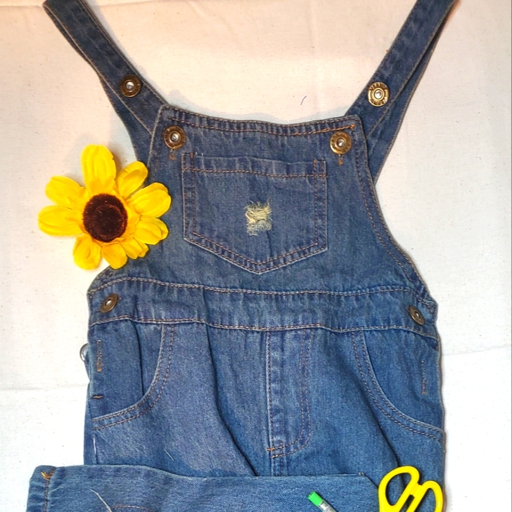 Denim Jumpsuit